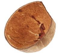 Kisangel Cachette en Coquille de Noix 12X12X6.5 CM pour Reptiles, Grotte Humide pour Gecko Léopard, Habitat pour Serpent, Décoration Terrarium et Vivarium