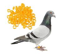 Kisangel Ensemble De 100 Pattes De Pigeon pour Lidentification des Oiseaux Perroquets Perruches Pigeons Facile À Jaunir