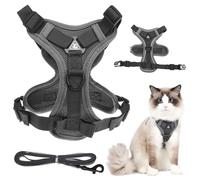 Kisangel Harnais pour Petit Chien et Chat Gilet Réfléchissant et Respirant avec Laisse pour Extérieur Sécurité et Confort