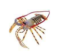 Kisangel Homard Plastique Réaliste Décoration Éducative pour Garçon Fille et Exploration de Nature
