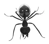 Kisangel Insecte Solaire Réaliste pour Garçon Fille Modèle de Éducatif avec Solaire Accessoire Scientifique pour Projets Décoration de Jardin sans Pile