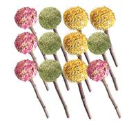 Kisangel Lot de 12 Bâtonnets à Mâcher Naturels pour Lapins Cochons d'Inde et Hamsters - Jouets de Dentition en Matériaux Sûrs - Assortiment de Fleurs Comestibles pour Hygiène