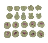 Kisangel Lot de 20 Gâteaux À Mâcher en Herbe Naturelle pour Les Dents des Lapins Casse-croûte pour Sennuyer Sûr Et Savoureux pour Les Petits Animaux De Compagnie