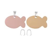 Kisangel Médaille en Acier Inoxydable pour Chien de Poisson Lot de 2 Étiquettes d'Identification Décoratives pour Animaux de Compagnie Faciles à Installer Design Unique et Élégant
