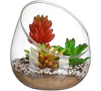 Kisangel Micro-Paysage Éco-Bouteille en Verre Borosilicate Biseauté, Pot en Verre Transparent pour Plantes Succulentes et Mosses, Décoration Écologique d'Intérieur