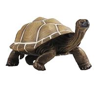 Kisangel Modèle De Tortue Décorative Plastique Figurine De Tortue Réaliste pour Garçon Fille