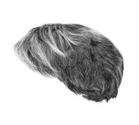 Kisangel Perruque Grise Courte pour Costume Père Perruque Adulte Réaliste pour Halloween Carnaval Cosplay et Spectacles Accessoire de Déguisement Senior Polyvalent