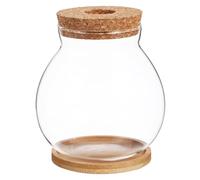 Kisangel Petit Bol À Poisson en Verre avec Couvercle Mini Aquarium Hydroponique Aquarium De Bureau pour Bureau Bol en Verre Transparent pour Terrarium Décoration De La Maison