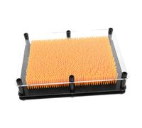 Kisangel Pin Impression Board de Bureau pour Garçon Fille Modèle de Clonage Réaliste Plastique Sécurisé Jeu Créatif Sensoriel et Éducatif