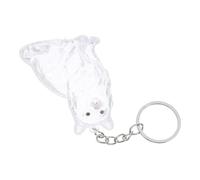 Kisangel Porte-clés Souvenir Poils de Chat Transparent Boîte Claire avec Capsule de Rangement pour Mémorial Animalier Porte-clés Pratique Décor Chat pour Collection de Poils
