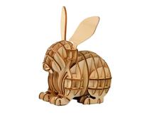 Kisangel Puzzle Bois Lapin pour Garçon Fille Éducatif Créatif Bois Développement Coordination Main Œil Cadeau Danniversaire et Fête