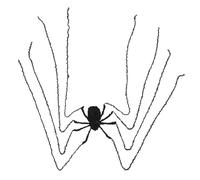 Kisangel Spider Halloween Réaliste Peluche Noire avec Longues Pattes Décoration Effrayante pour Maison Hantée Jardin et Fête