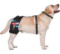 KISFLY Attelle de hanche pour chien avec pack de gel chaud/froid amovible - Support arrière réglable pour soulager les douleurs articulaires et LCA, taille M (FBA)
