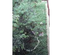 Kishio Suga Writings - Volume 2, 1980-1989