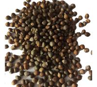 kiskick Pack de jardin Cultivez votre propre kit - 100 pièces/sac de graines de Christia Obcordata, eau nécessaire, pleine de vitalité, graines de jardin Georgic Mountain Valley pour l'extérieu