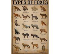 kisoyo Plaque en métal en aluminium - Motif renards - Pour bars, clubs, restaurants, cafés, pubs - Décoration murale vintage - 20,3 x 30,5 cm