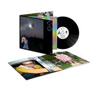 KISS ALL THE TIME. DISCO, OCCASIONALLY. Vinyle