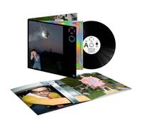 Harry Styles – Kiss All The Time. Disco, Occasionally. – Vinyle – Sony Music
