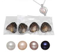 Kiss Me Collier avec perles d'huîtres naturelles à faire soi-même, huîtres d'eau douce, médaillon en argent 45,7 cm, cadeau pour fille, sœur