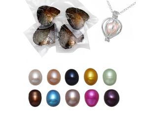 kiss me Ensemble de perles d'huîtres naturelles avec perle à l'intérieur, kit de fabrication de collier, médaillon cage de collier, perle de culture dans un ensemble d'huîtres, cadeau surprise pour