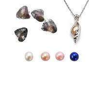 kiss me Huîtres naturelles avec perle à l'intérieur, huîtres perlées avec collier à faire soi-même, médaillon en argent, pendentif de 45,7 cm, décoration d'anniversaire pour la fabrication de bijoux