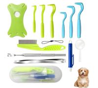 Kit 13 en 1 Pince à Tiques avec Étui - Pince à Tiques pour Humains, Chiens et Enfants, Set Complet avec Carte à Tiques, Loupe et Accessoires pour Enlever les Tiques de Tous Tailles et Espèces