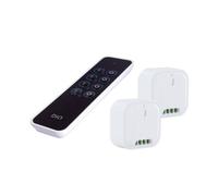 Set de 2 modules d'éclairage + télécommande - 1000W - Chacon