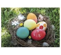 Rayher Kit de colorants pour œufs de Pâques - 5 colorants - Multicolore