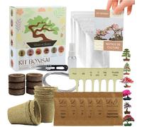 Kit 6 bonsais interieur complet