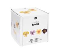 Kit DIY crochet - RICO DESIGN - Fleurs de printemps - 4 pcs - Éponges colorées - Fil Creativ Bubble