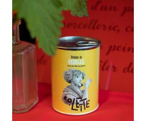 Kit à semer colette