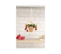 Kit Amigurumi Fraises Estivales - DMC(...) - Multicolore