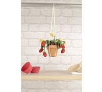 DMC - Fraises d'été par Nuria Picos Kit Amigurimi niveau intermédiaire