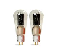 Kit amplificateur à tubes E-300B DIY Audio(2 pcs)