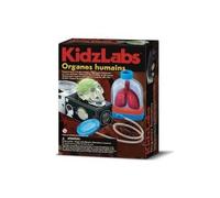 Kit Anatomie Organes Humains - Jeu Scientifique 8 Ans+ - Set Jeu educatif Enfant + Carte Animal