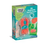 Kit Anatomie Squishy Organs
