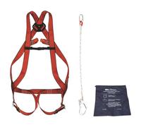 Kit anti-chute spécial échafaudage et nacelle - 2 points CLIMAX - 18243