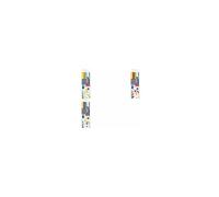 Staedtler Kit aquarelle Design Journey 3001STB5-1 Easy Aquarelle Oiseaux Noir