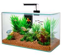 Kit Aquarium Aqua Clear 50