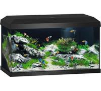 Kit aquarium JUWEL Primo 60 y compris couvercle avec éclairage LED, chauffage, filtre sans meuble, noir, 61 x 31 x 36,5 cm , 57 l