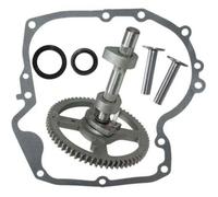 Kit Arbre à Cames Briggs & Stratton 793880 Joint Carter Inclus Compatible Moteur 4 Temps