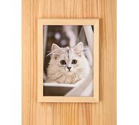 Kit Arbre à Chat Mural modulable DIY - Bois Massif Personnalisable & évolutif - Fixation Invisible & Outils Inclus (Cadre Photo pour Chat)