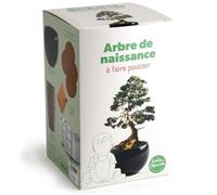 Radis et Capucine - Kit arbre de naissance - Cèdre