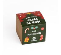 Kit Arbre de Noël | Faites Pousser Votre Propre Sapin à la Maison | Cadeau Magique, Naturel et Inoubliable | Idée Originale et Pleine de Sens pour Noël | Resetea
