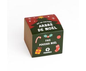 Kit Arbre de Noël | Faites Pousser Votre Propre Sapin à la Maison | Cadeau Magique, Naturel et Inoubliable | Idée Originale et Pleine de Sens pour Noël | Resetea