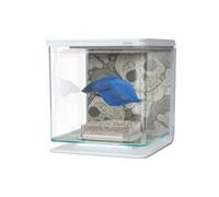Kit Betta 2 litres MARINA tête de mort