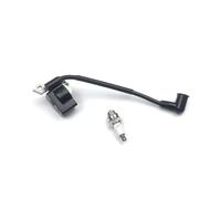 Kit Bobine d'allumage et Bougie d'allumage OEM 4140 400 1300 Compatible avec FS38 FS45 FS46 FS55 KM55 HL45 KM55R FS45C FS45L FC55