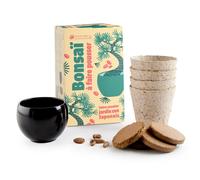 Kit bonsaï à faire pousser