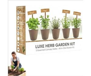 Kit Bonsai Plante Naturelle - Cultivez Votre Petit Jardin à Domicile - Cadeau Noël Idéal avec Terre et Engrais - Pour Amateurs de Plantes