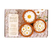 Kit bougie diy graine créative